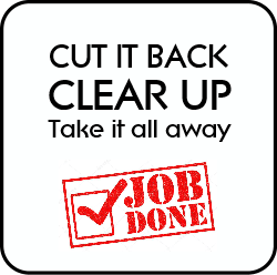 Cut it back, clear it up, take it away, job done.