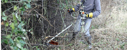 An operative using a petrol brush cutter.